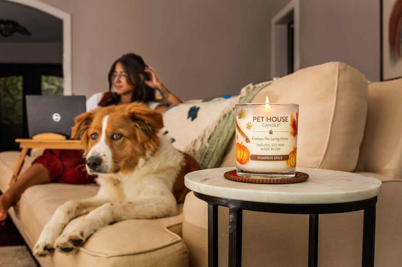 Pet House Pumpkin Spice Candle