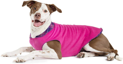 Gold Paw Mulberry/Fuchsia Double Fleece