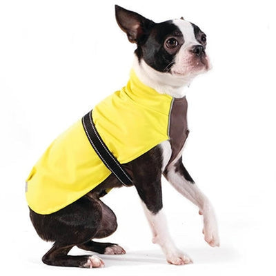 Gold Paw Raincoats