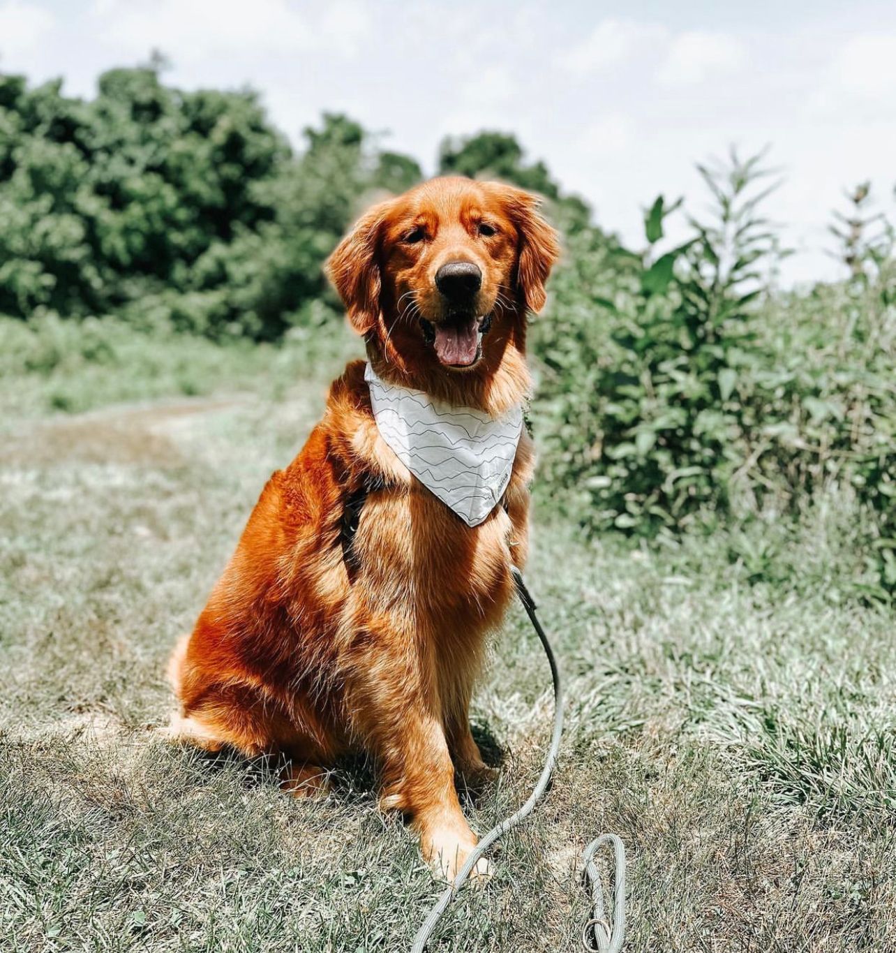 Range Bandana