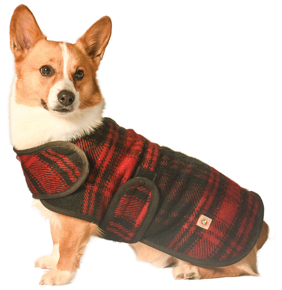 Chilly Dog Red/Black Plaid Coat