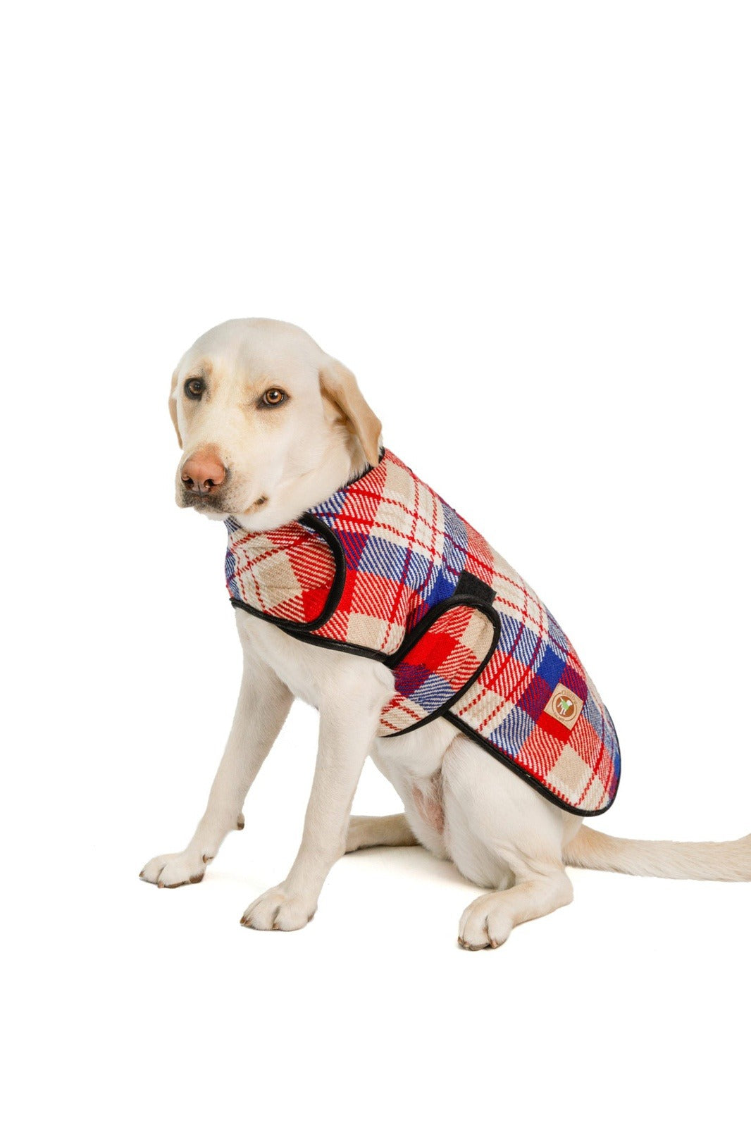 Chilly Dog Red Field Coat