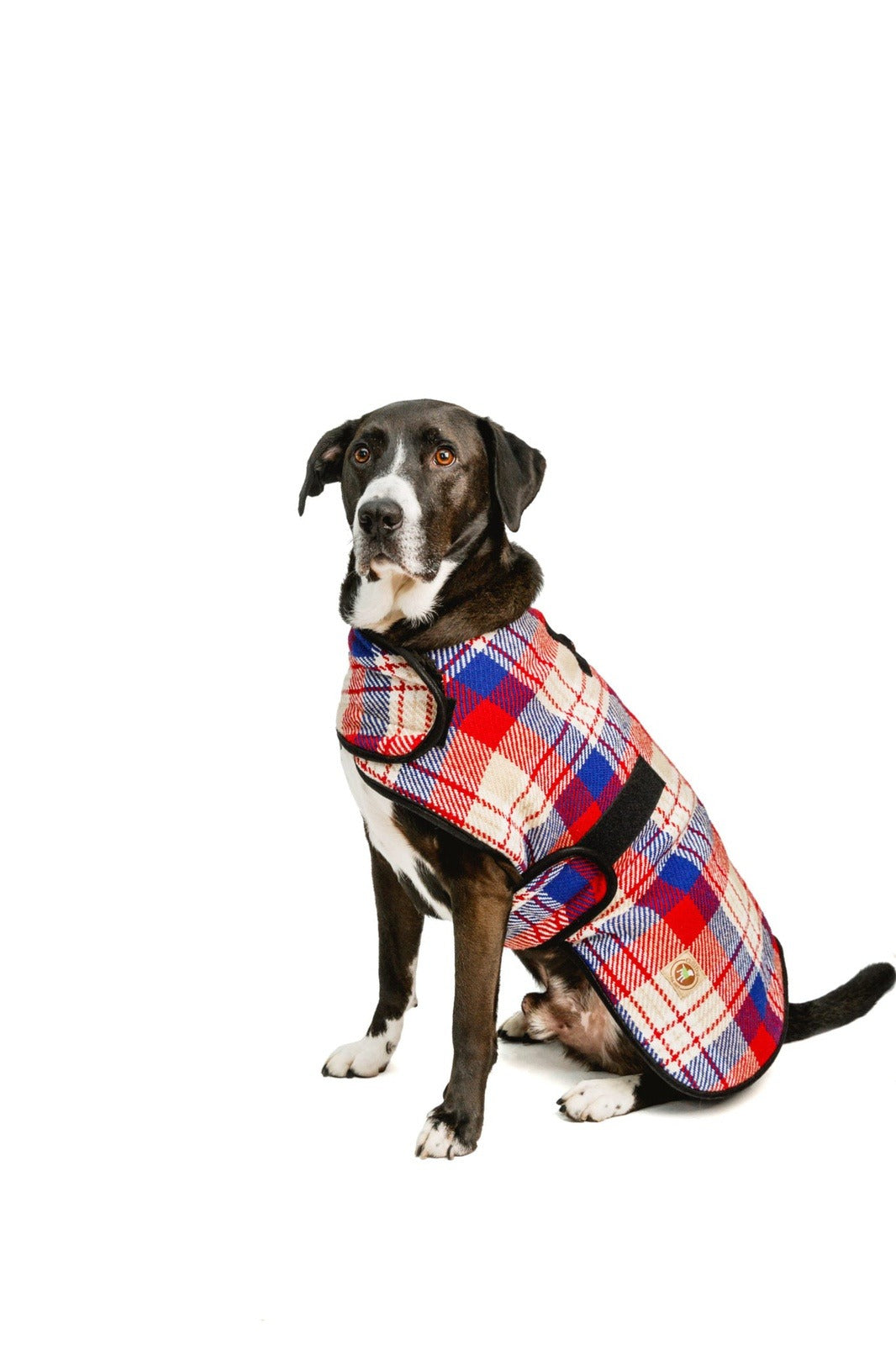 Chilly Dog Red Field Coat