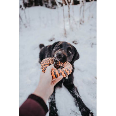 Braided Ring Toy