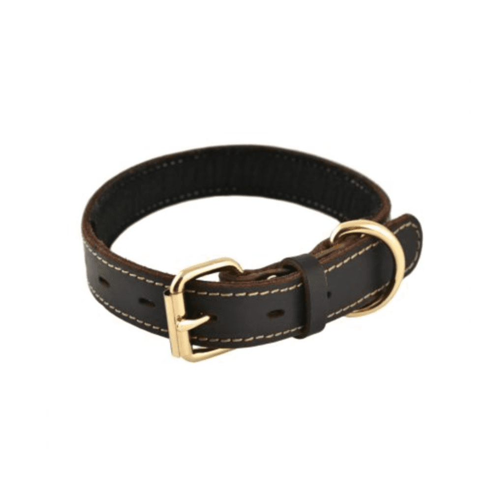 Tall Tails Leather Collar