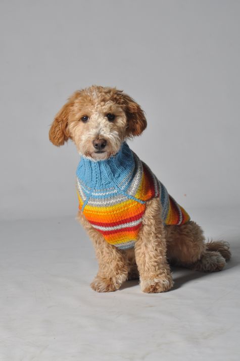 Chilly Dog Serape Sweater