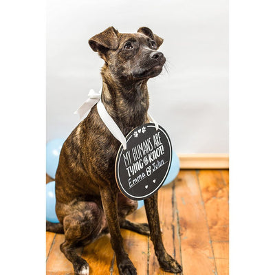 My Humans Are Tying The Knot Sign