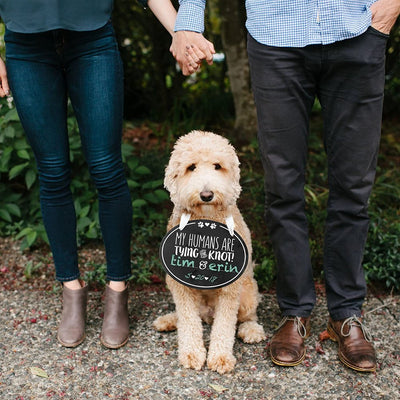 My Humans Are Tying The Knot Sign