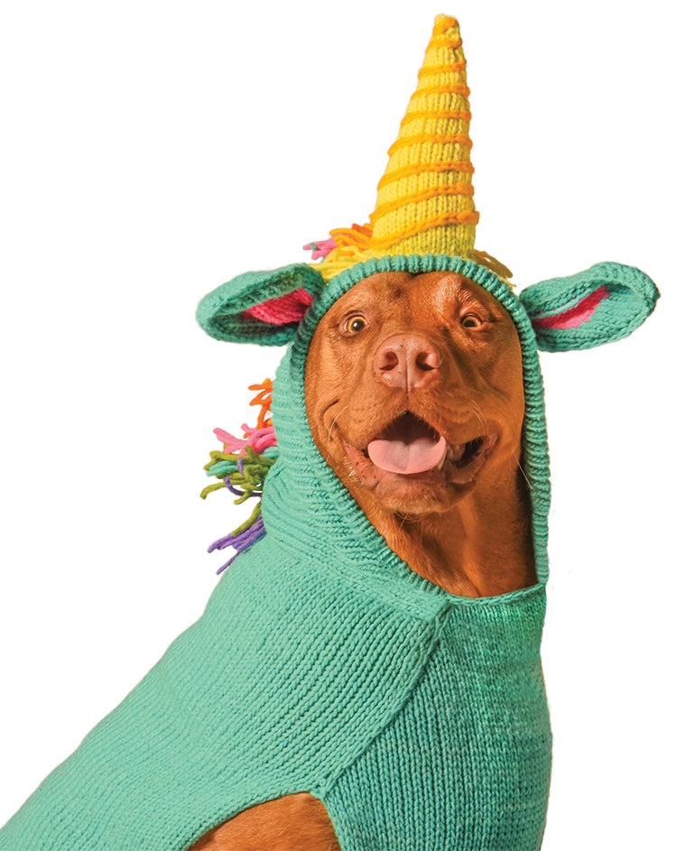 Chilly Dog Unicorn Sweater