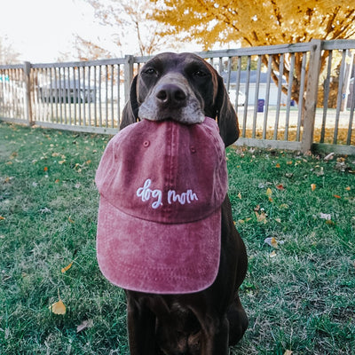 Dog Mom Hat