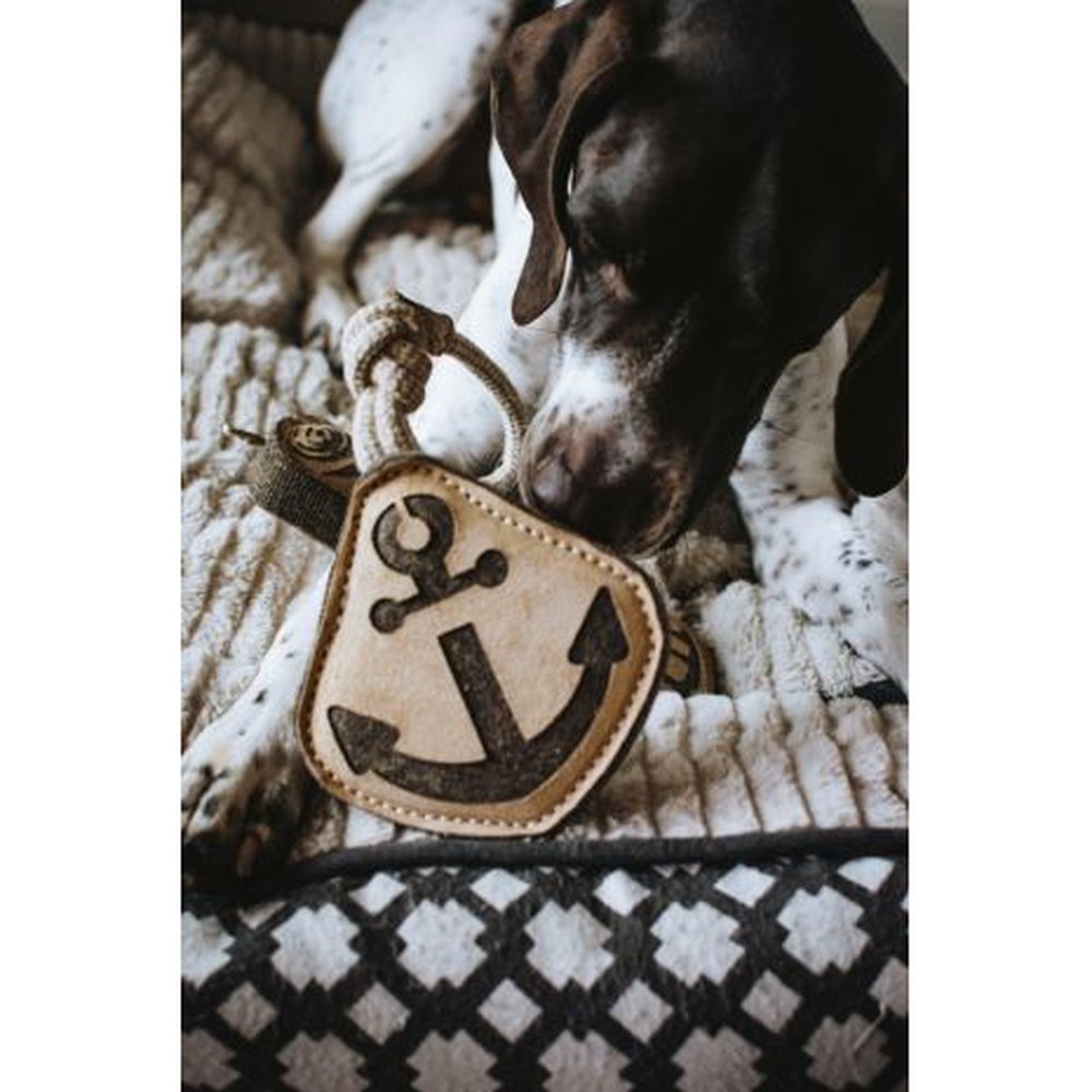 Anchor Tug Toy