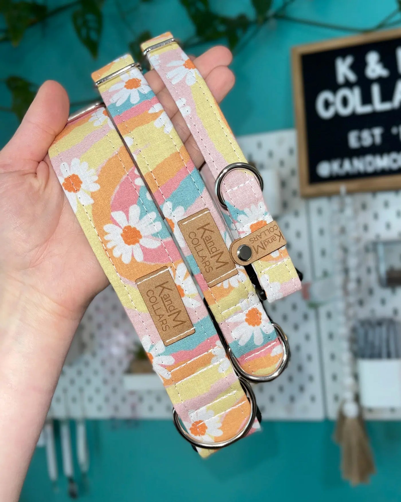 Groovy Daisies Collar